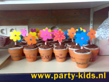 Hedendaags bloempot cakeje - party-kids.nl DS-17