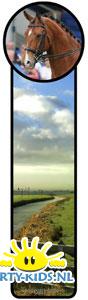 Paarden boekenlegger