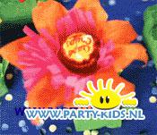 Lolly-bloemen