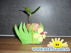 vergeetmijnietplantje met rozijnendoosje onderkant