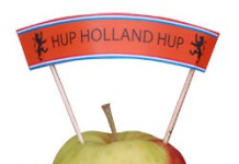 Hup Holland Hup vlag op prikkertjes