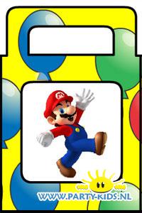 Super Mario tasje